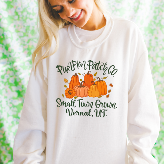 Custom Pumpkin Patch Tee or Sweatshirt, Fall Halloween Fairytaleavenue